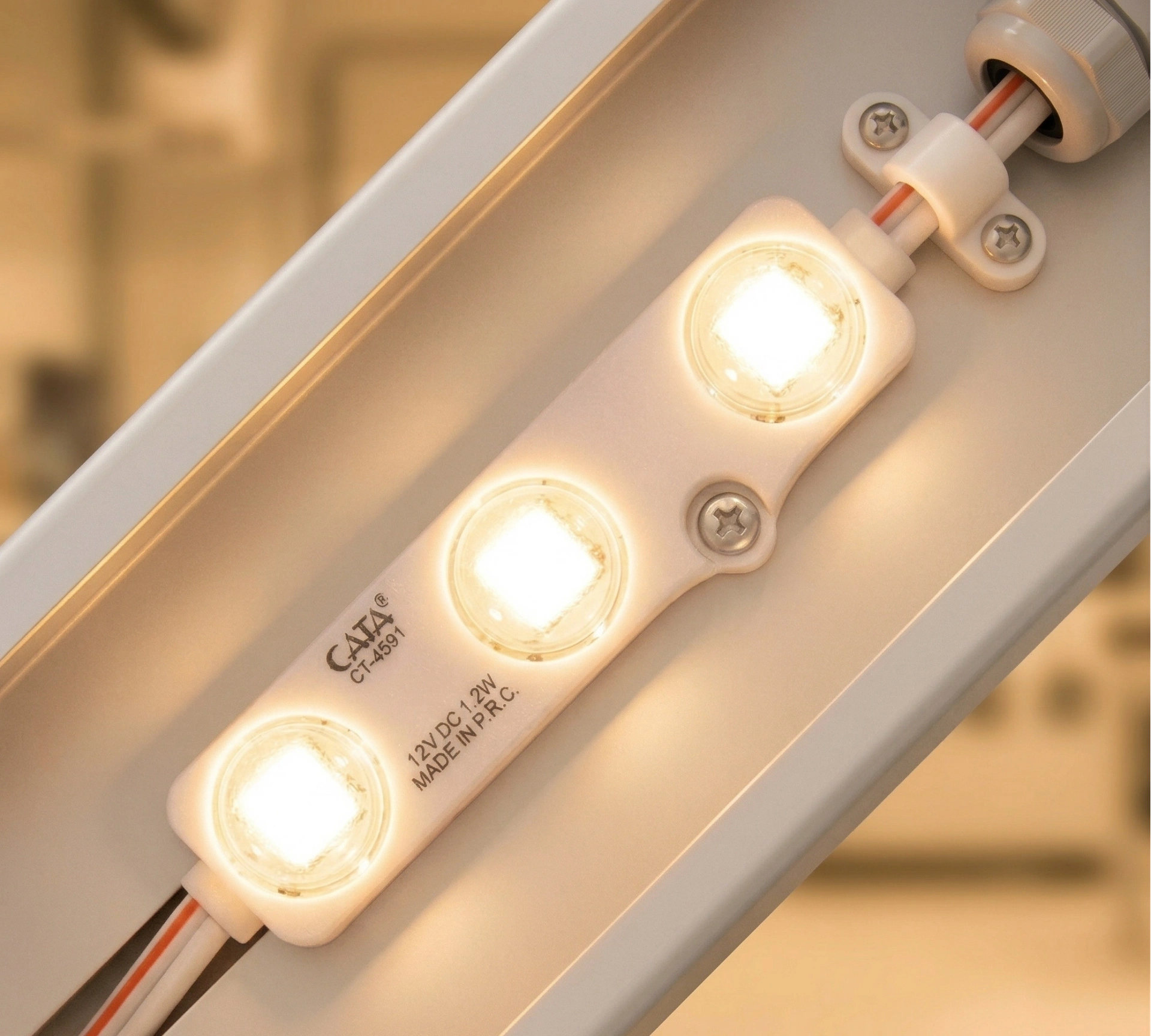 BUĞZ 10 Adet CATA CT 4591 1W Modül Led 3200K Gün Işığı