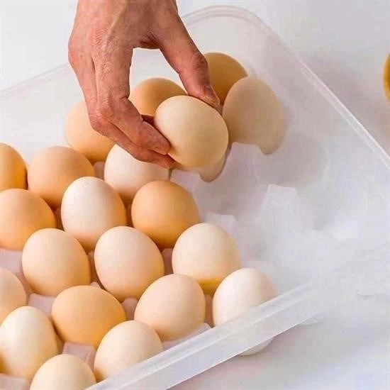BUĞZ 30lu Yumurta Saklama Kabı