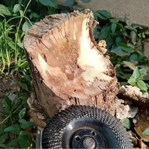 BUĞZ Ahşap Eğe Diski