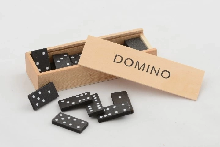 BUĞZ Ahşap Kutulu Domino Alk4019