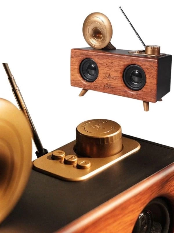 BUĞZ B6 SPEAKER HOPARLÖR