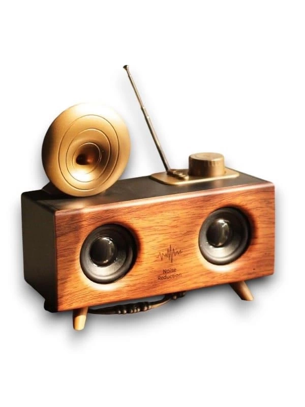BUĞZ B6 SPEAKER HOPARLÖR BUĞZ B6 SPEAKER HOPARLÖR