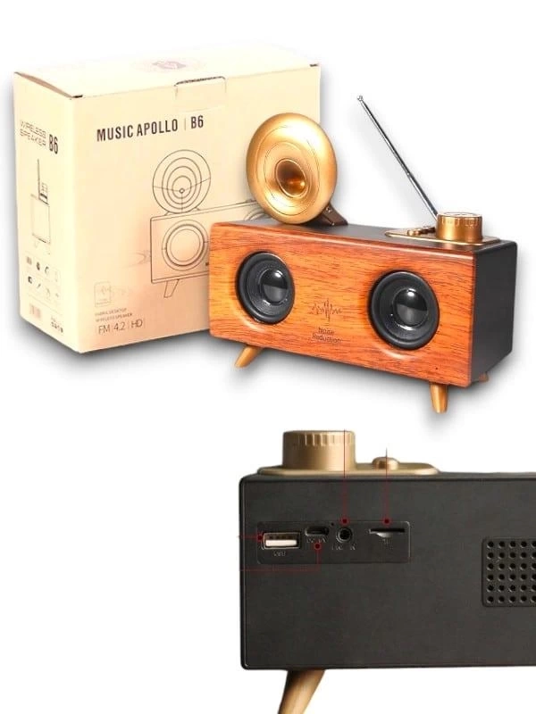BUĞZ B6 SPEAKER HOPARLÖR
