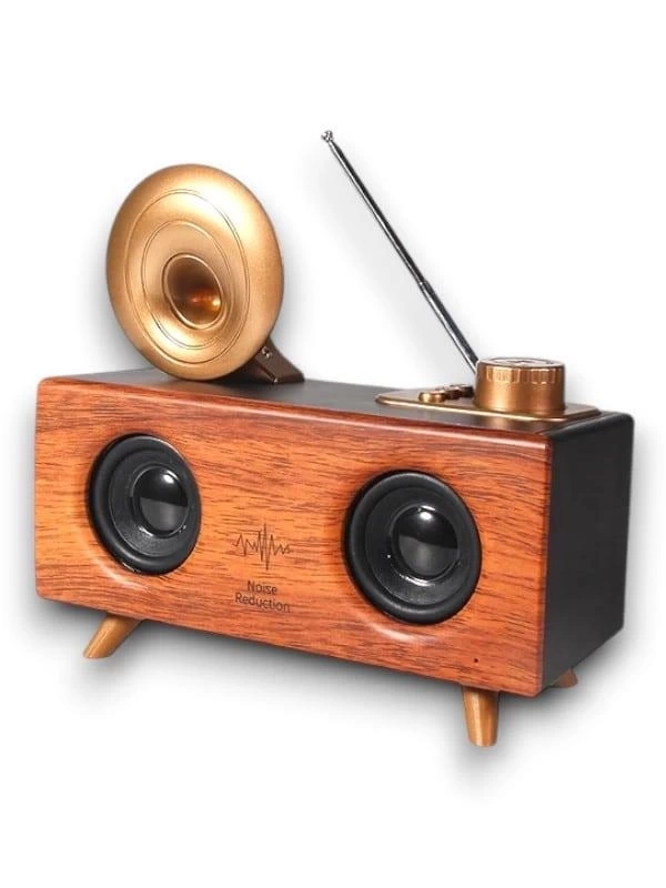BUĞZ B6 SPEAKER HOPARLÖR