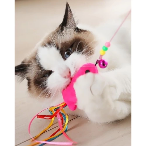 BUĞZ Balıklı Kedi Oyun Oltası