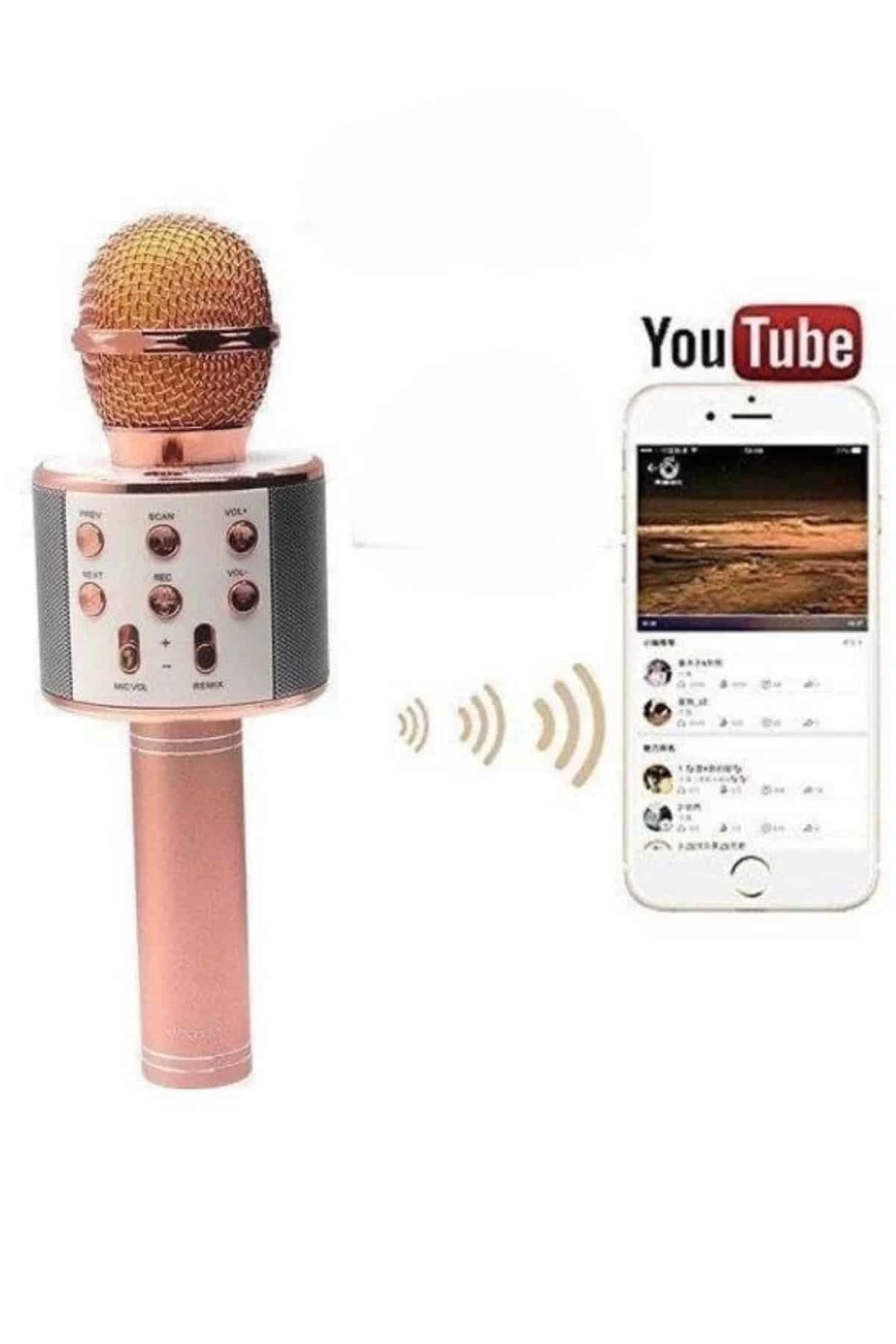 BUĞZ Bluetooth Hoparlör USB AUX SD Kart Kaoroke Mikrofon Uzun Pil Ömrü
