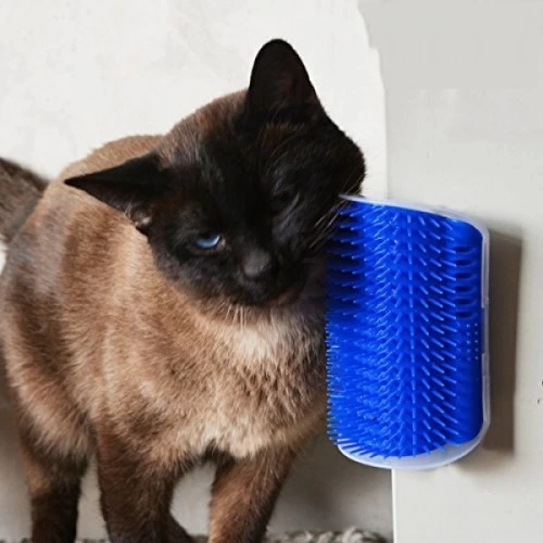 BUĞZ Cat It Kedi Kaşınma Aparatı