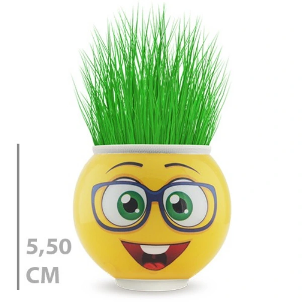 BUĞZ ÇİM ADAM SAKSI EMOJİ FİGÜRLÜ 1 ADET