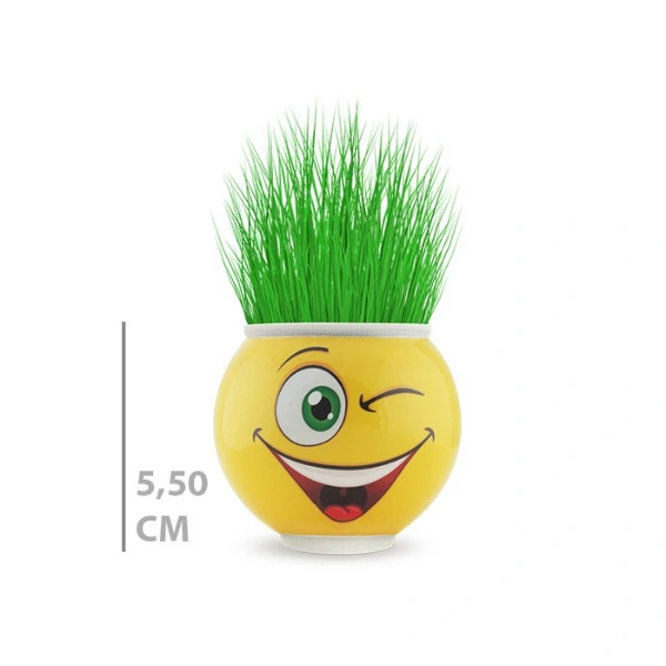 BUĞZ ÇİM ADAM SAKSI EMOJİ FİGÜRLÜ 1 ADET