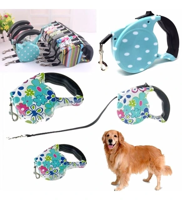 BUĞZ Desenli Köpek Tasması - Pup Style