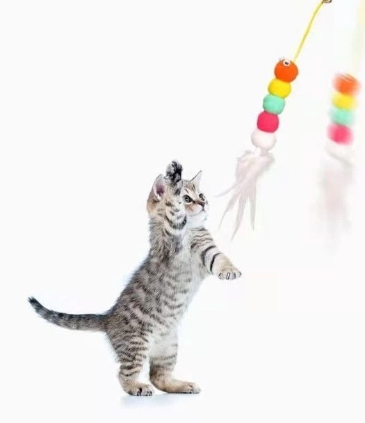 BUĞZ Elastik Kendinden Yapışkanlı Solucan Kedi Oltası