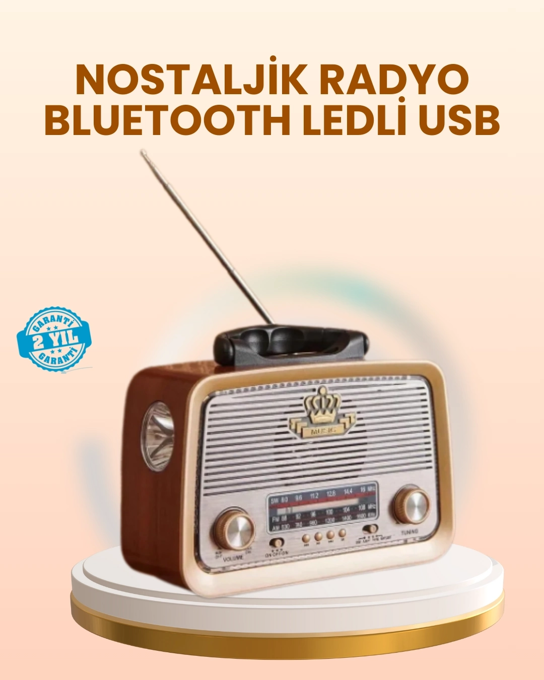 BUĞZ Eskitme Tasarımlı Ahşap Bluetooth Radyo LED Aydınlatmalı