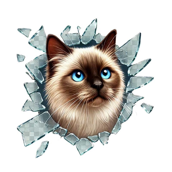 BUĞZ FULCAR KEDİ TASARIMLI ARAÇ STİCKERI BUĞZ FULCAR KEDİ TASARIMLI ARAÇ STİCKERI