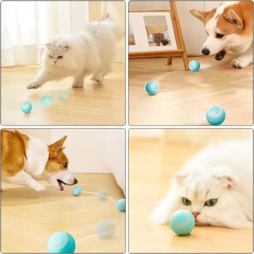 BUĞZ İnteraktif Kedi Köpek Şarjlı Oyun Topu
