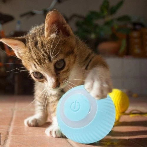 BUĞZ İnteraktif Kedi Köpek Şarjlı Oyun Topu