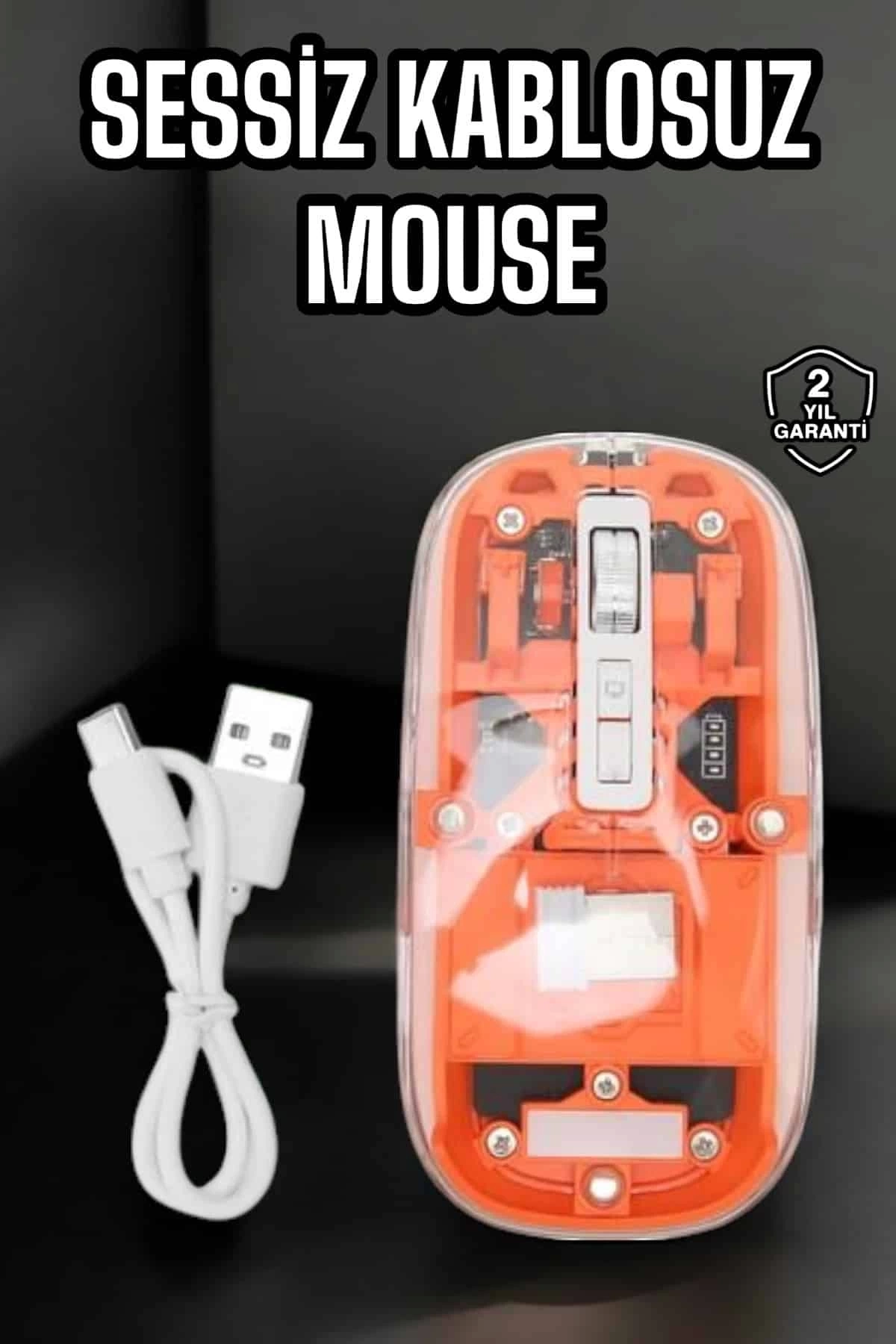 BUĞZ Kablosuz Mouse Fare 5.0 Bluetooth Bağlantılı USB Girişli