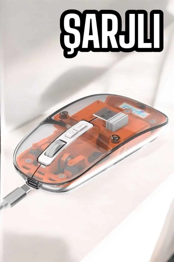 BUĞZ Kablosuz Mouse Fare 5.0 Bluetooth Bağlantılı USB Girişli
