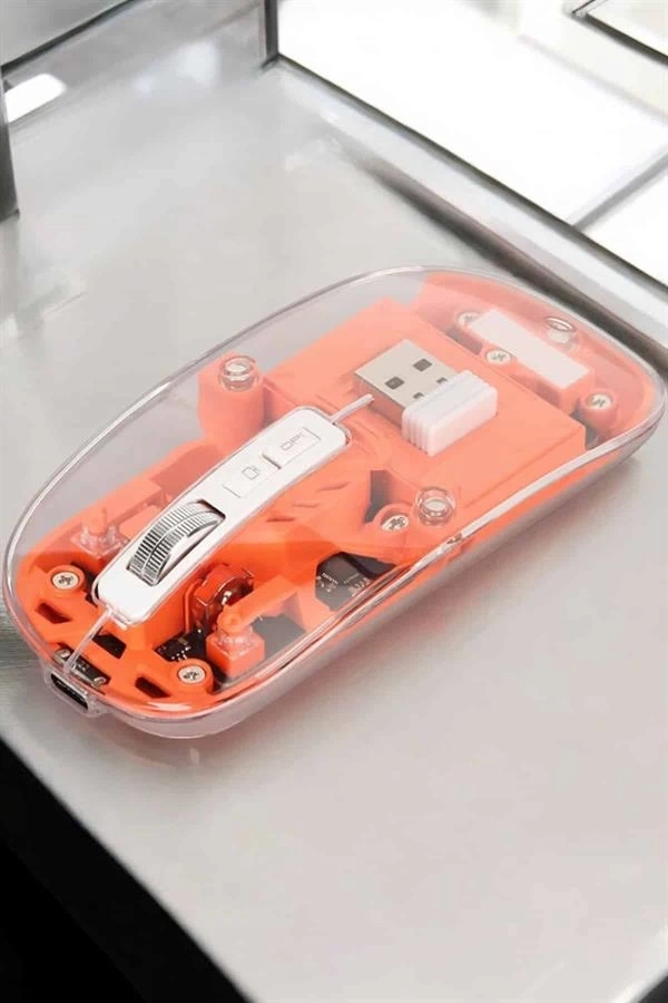 BUĞZ Kablosuz Mouse Fare 5.0 Bluetooth Bağlantılı USB Girişli