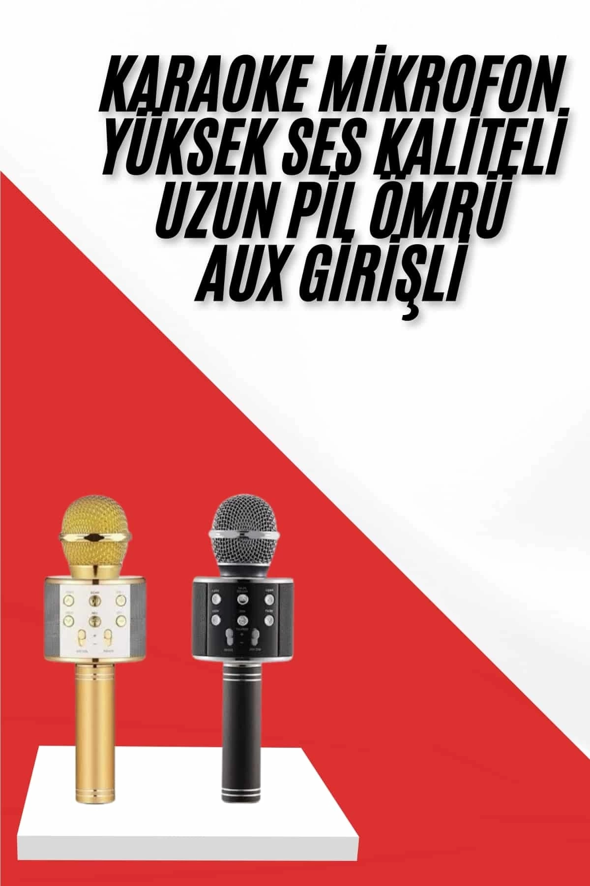 BUĞZ Karaoke Mikrofon Dahili Hoparlörlü Sd-usb-aux Girişli Bluetooth Hoparlör