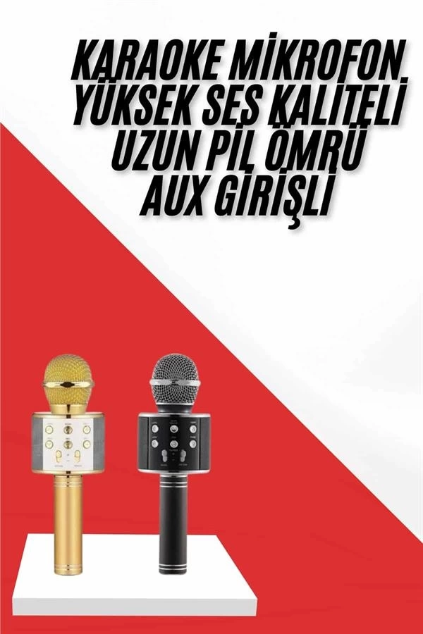 BUĞZ Karaoke Mikrofon Dahili Hoparlörlü Sd-usb-aux Girişli Bluetooth Hoparlör