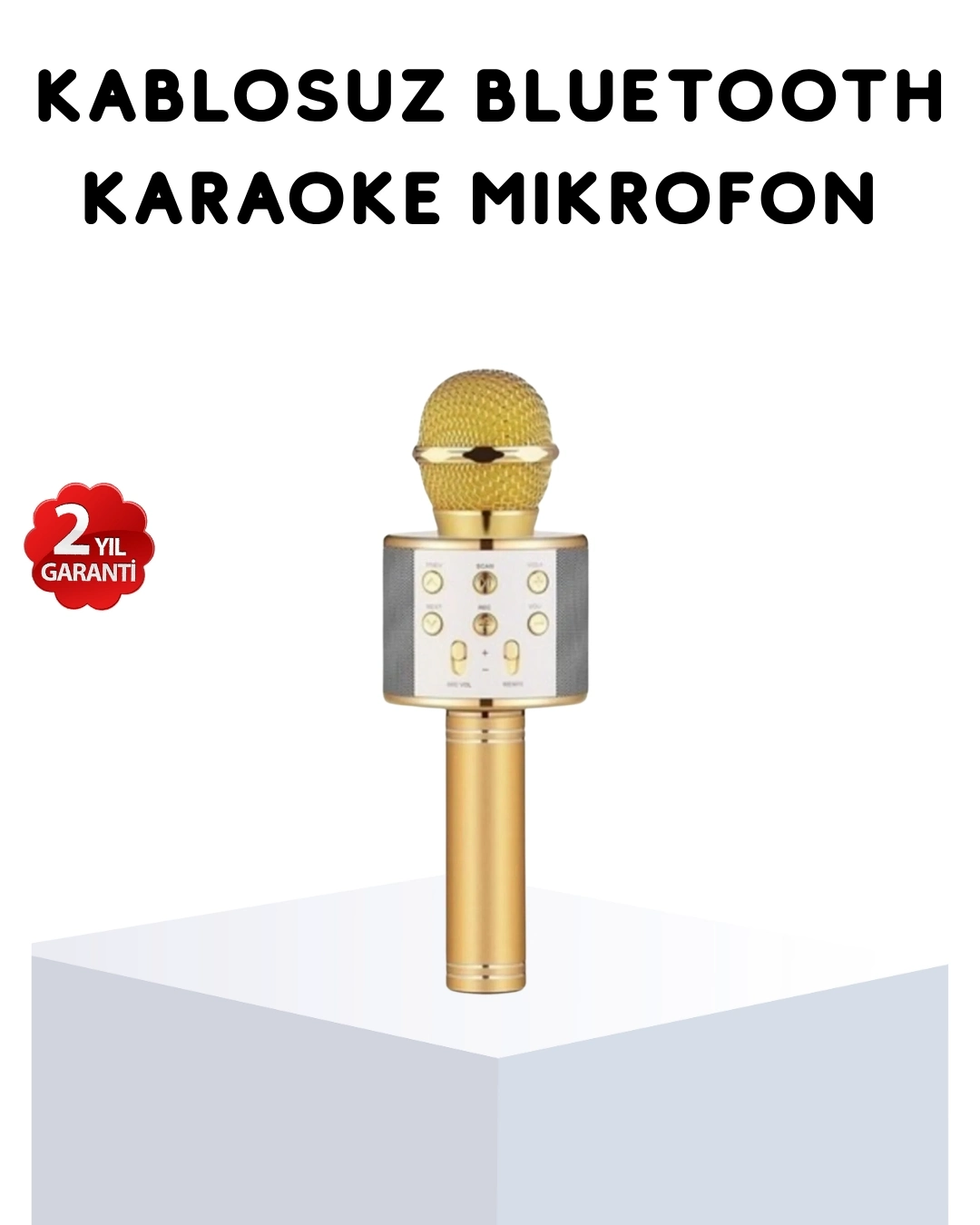 BUĞZ Karaoke Mikrofonu Bluetooth USB AUX Girişli Yankı Efektli