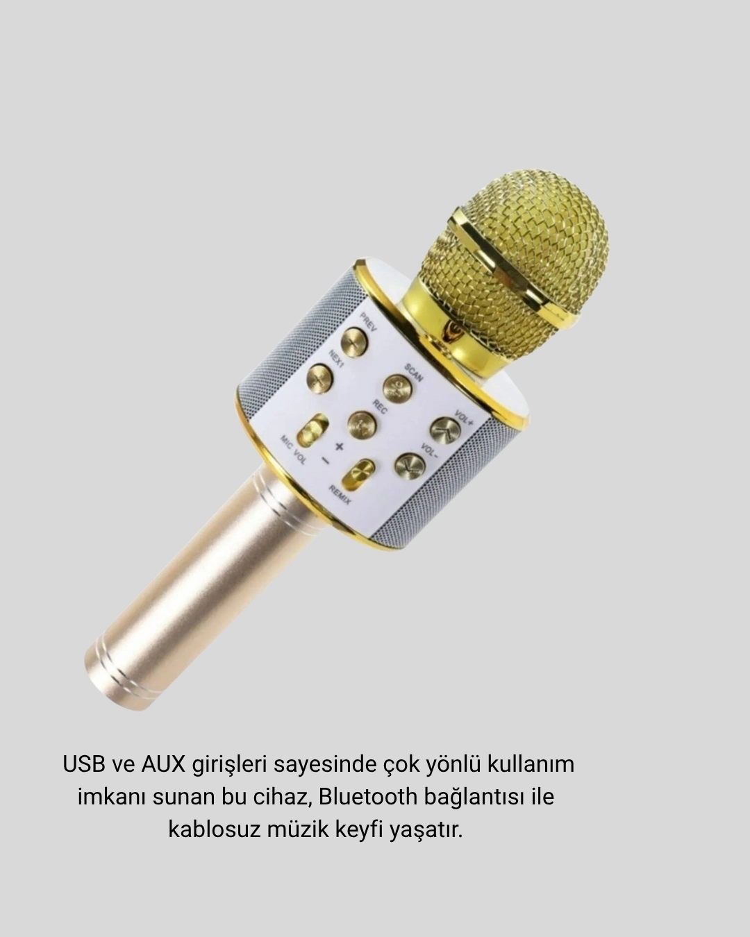 BUĞZ Karaoke Mikrofonu Bluetooth USB AUX Girişli Yankı Efektli