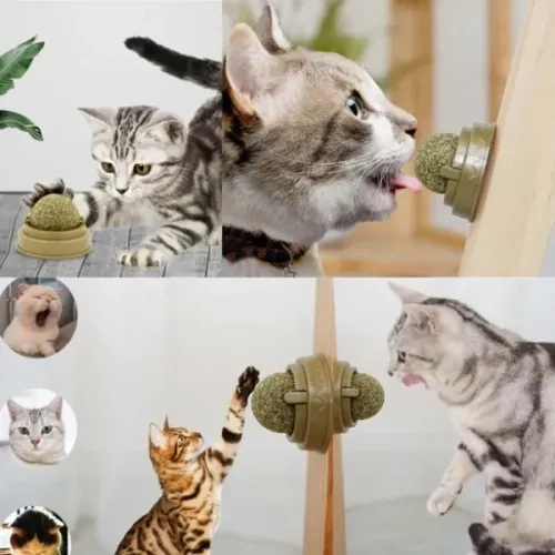 BUĞZ Kedi Nanesi Oyun Topu