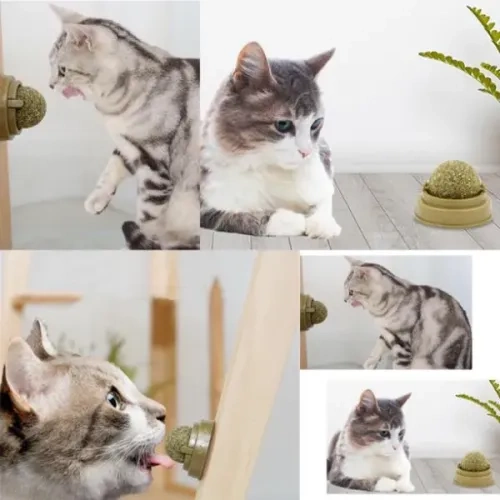 BUĞZ Kedi Nanesi Oyun Topu