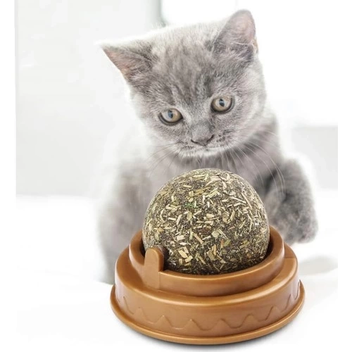 BUĞZ Kedi Nanesi Oyun Topu