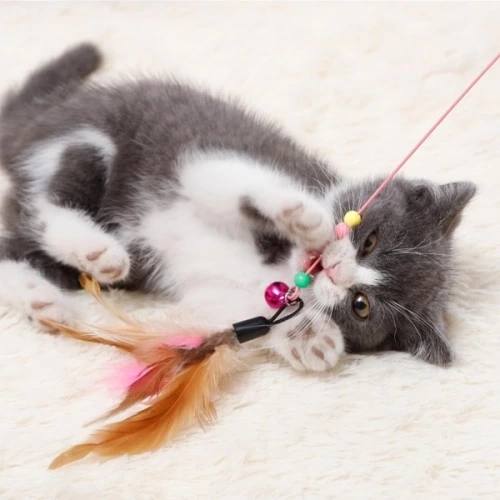 BUĞZ Kedi Oyun Oltası 90 cm
