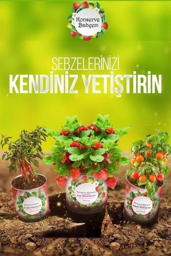 BUĞZ Konserve Bahçem Evde Konservede Sultani Bamya Yetiştirme Kiti