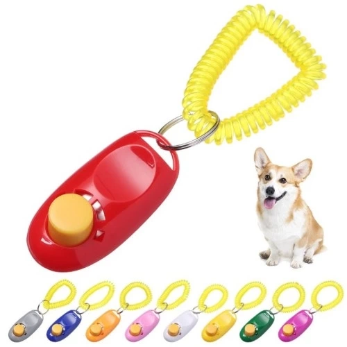 BUĞZ KÖPEK EĞITIMI CLICKER