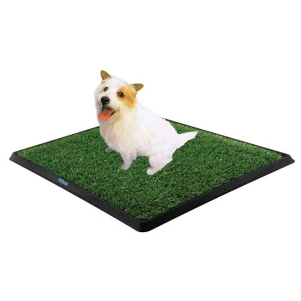 BUĞZ KÖPEK TUVALET EĞİTİM SETİ
