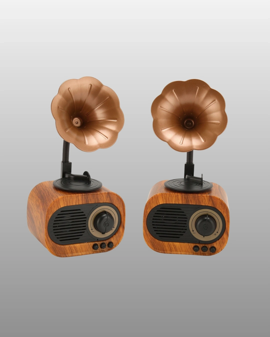 BUĞZ Mini Nostaljik Bluetooth Hoparlör FM Radyo 8 Saat Batarya
