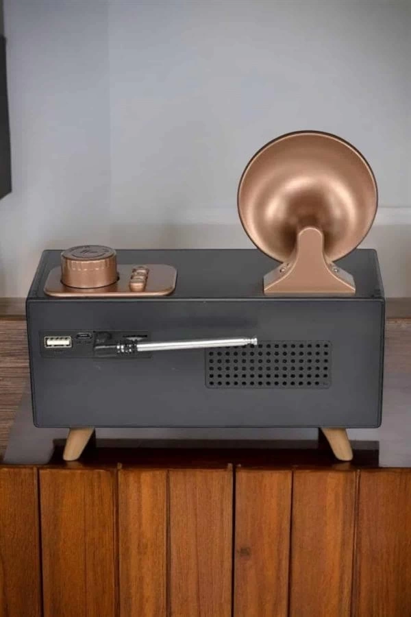 BUĞZ Nostaljik Görünümlü Bluetooth Bağlantılı Speaker