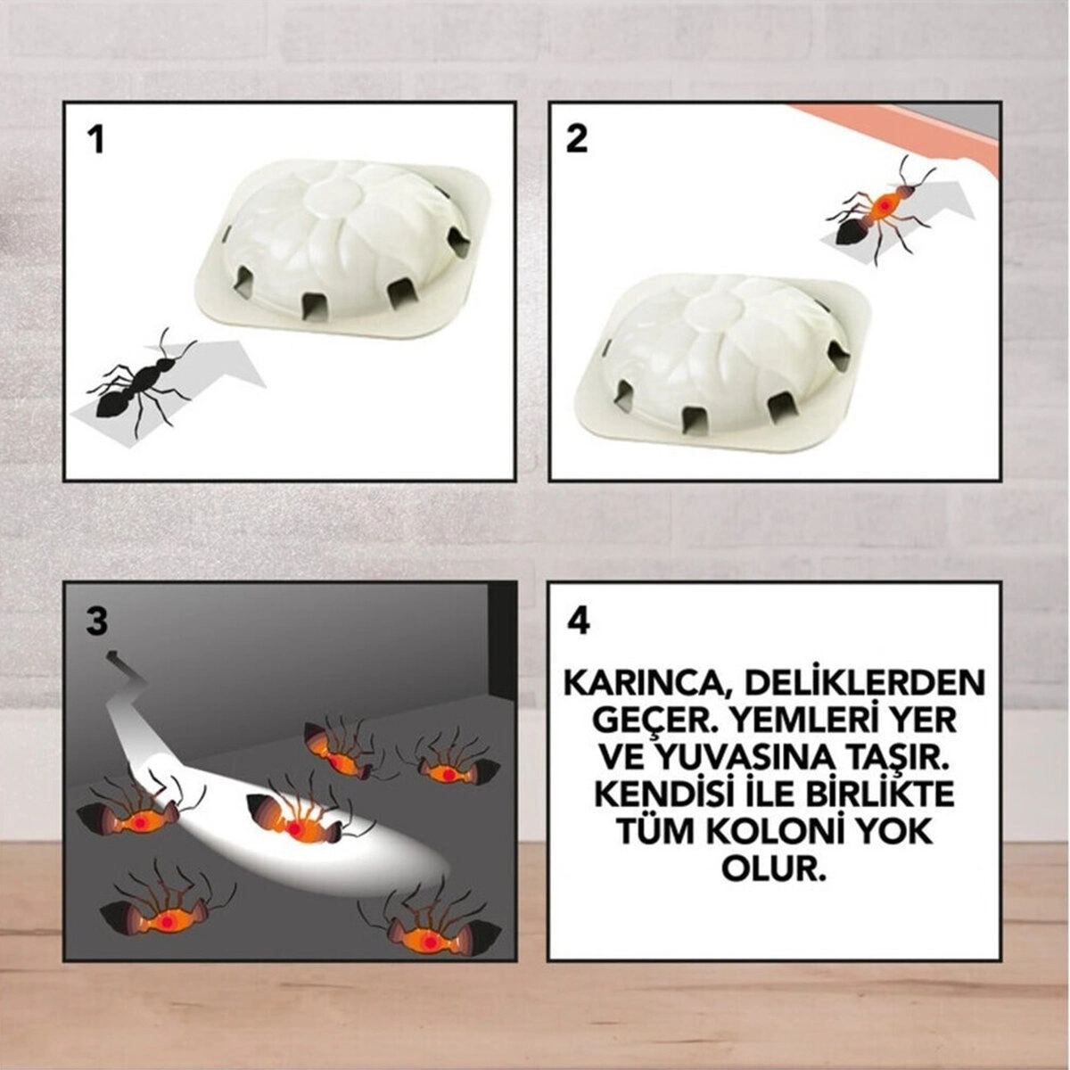 Raid 2 Parça Karınca Yemi Bx40