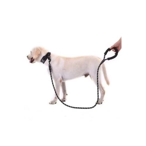BUĞZ Reflektörlü Köpek Tasması 130 Cm.
