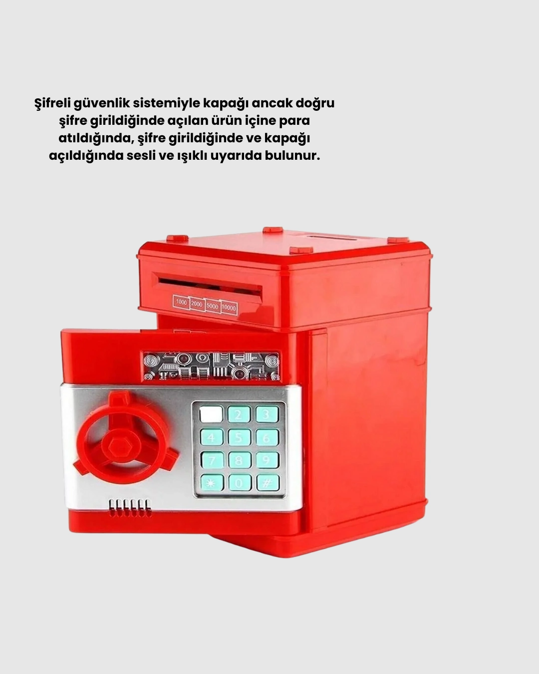 BUĞZ SAM53 NUMBER BANK - BUĞZ