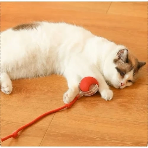 BUĞZ Şarjlı Kedi Oyuncağı