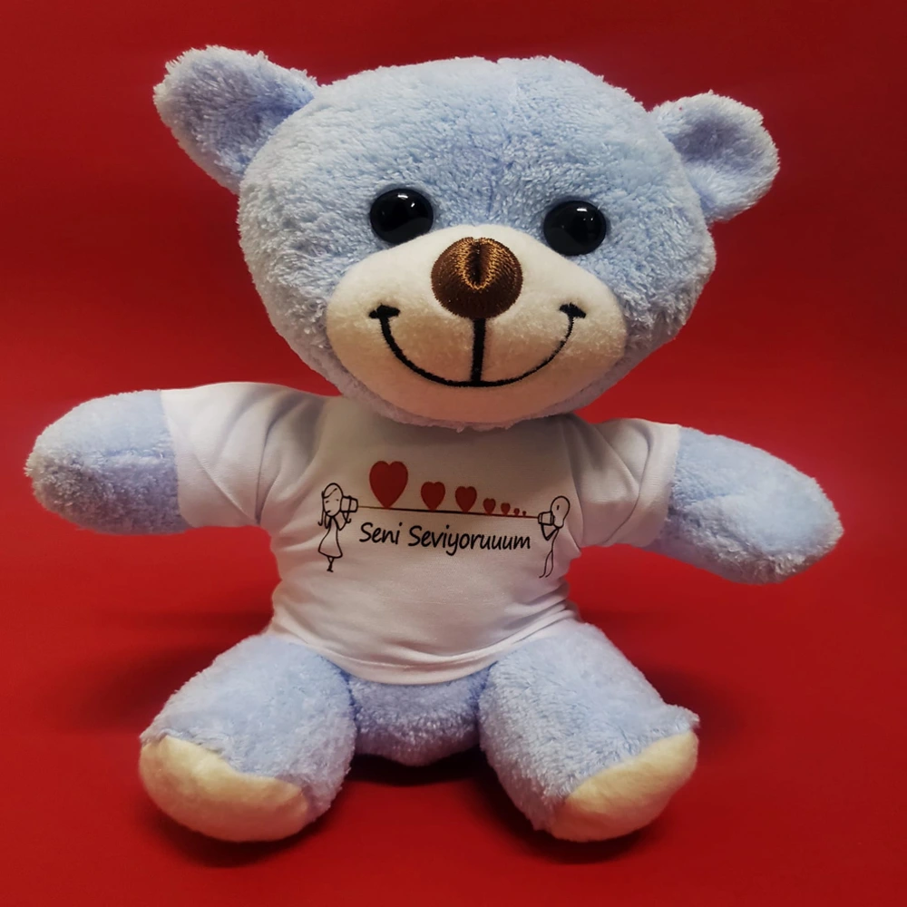 BUĞZ SENİ SEVİYORUM TİŞÖRTLÜ PELUŞ AYICIK