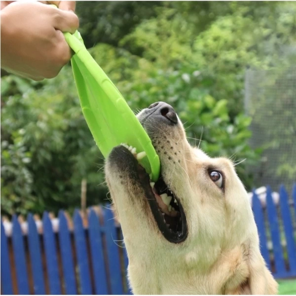 BUĞZ Silikon Frizbi Köpek Oyuncağı