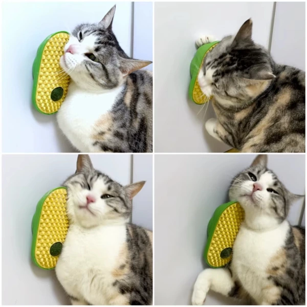 BUĞZ SİLİKON KAŞIYICILI KEDİ OTU BUĞZ SİLİKON KAŞIYICILI KEDİ OTU