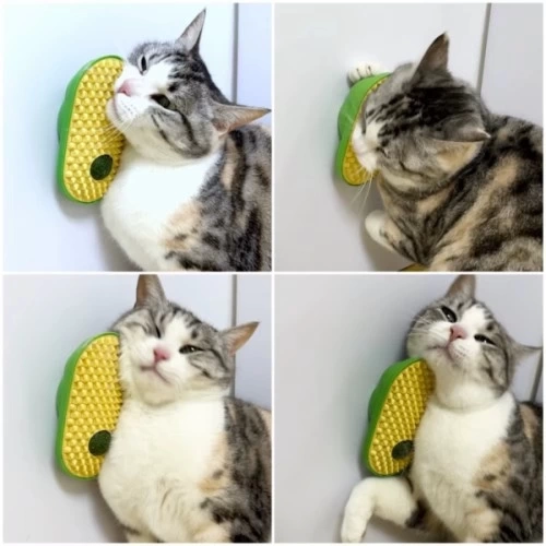 BUĞZ Silikon Kaşıyıcılı Kedi Otu
