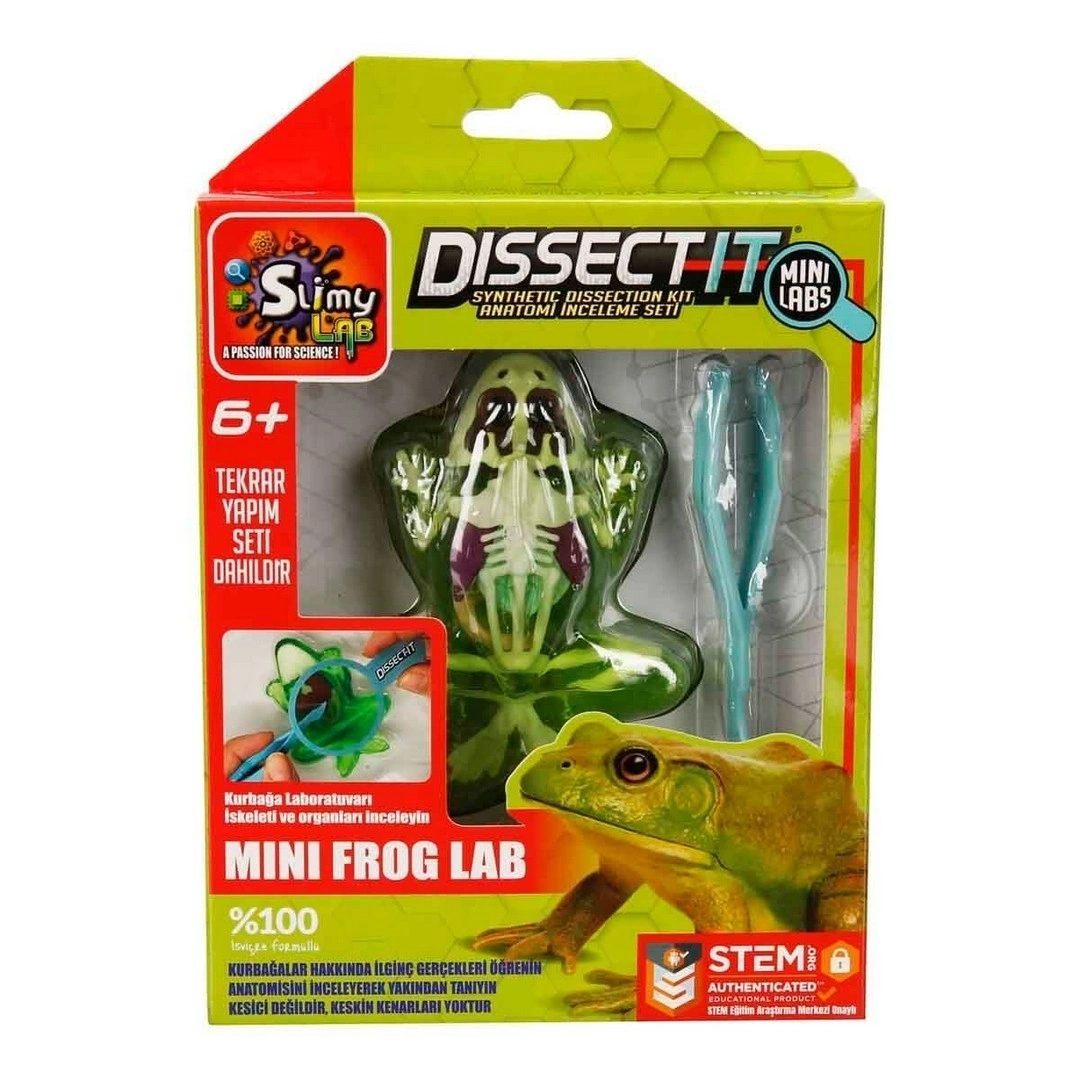 BUĞZ Dissect it Mini Labaratuvar 38083/38085-S- Stokta Olan Model Gönderilir