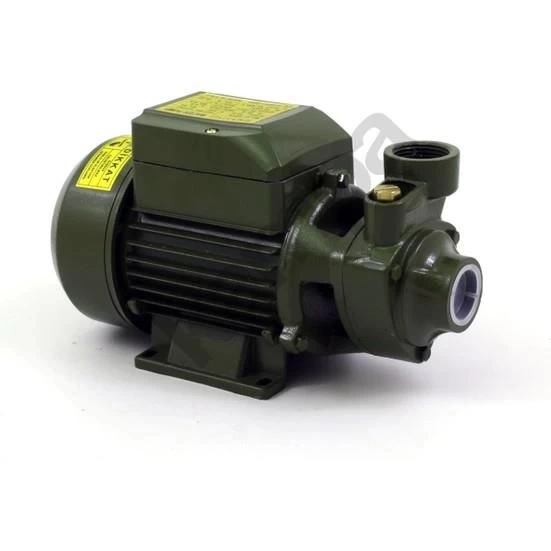 BUĞZ Style Qb60 0.5 Hp Elektrikli Su Dinamosu