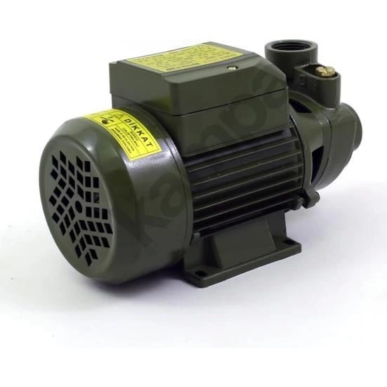 BUĞZ Style Qb60 0.5 Hp Elektrikli Su Dinamosu