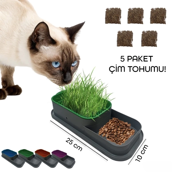 BUĞZ Topraksız Kedi Çimi Kabı