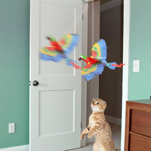 BUĞZ UÇAN PAPAĞAN KEDİ OYUNCAĞI