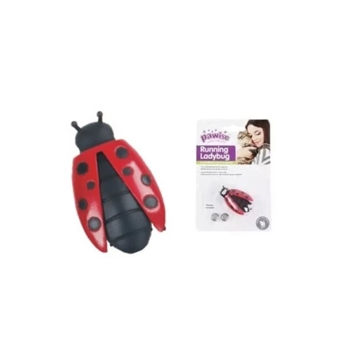 BUĞZ Uğur Böceği Hareketli Kedi Oyuncağı