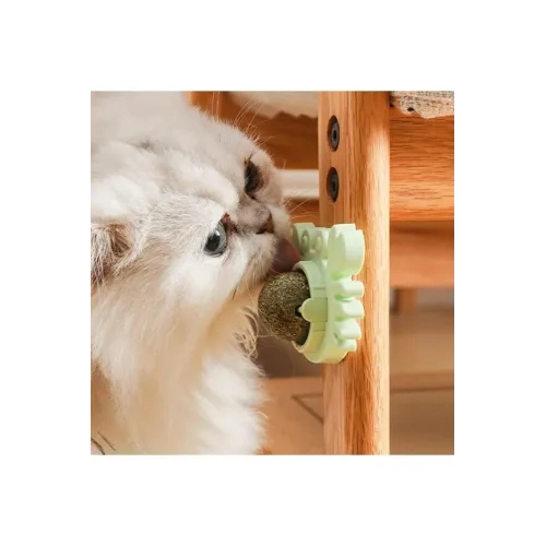 BUĞZ Yengeç Kedi Otu Oyun Topu